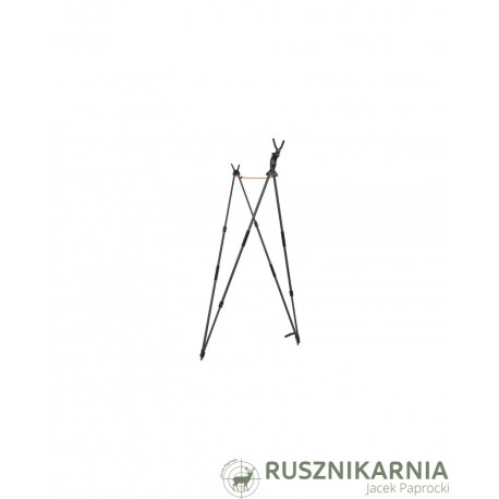 Pastorał Blaser Carbon V 2.0